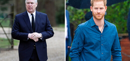 Prince Harry and Prince Andrew Quietly Barred From Counsellor of State Roles Amid King Charles’ Medical Procedure