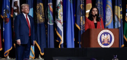 Who Is Tulsi Gabbard? 5 Things to Know About Trump’s National Intelligence Pick