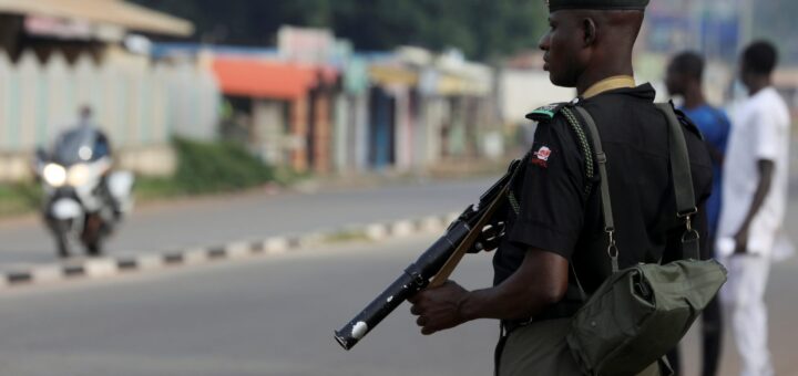 Police recover 85 stolen animals, arrest two suspects in Gombe