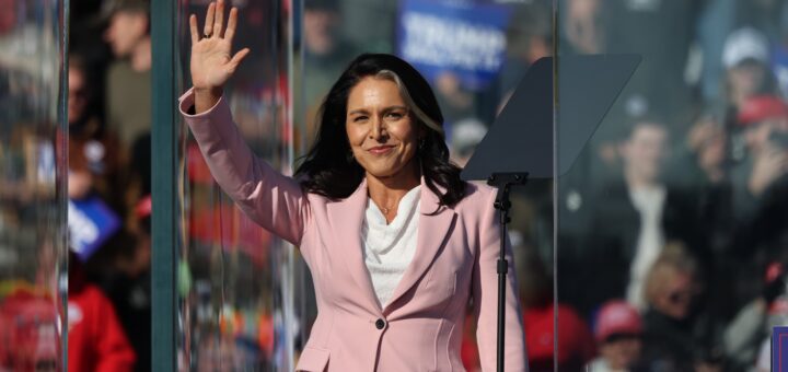 Does Tulsi Gabbard Have Kids? More About Her Family