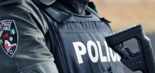 Police arrest local vigilant for allegedly killing artisan, setting corpse ablaze in Benin