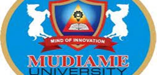 Mudiame University Entry-level & Exp Recruitment 2024(46 Positions)