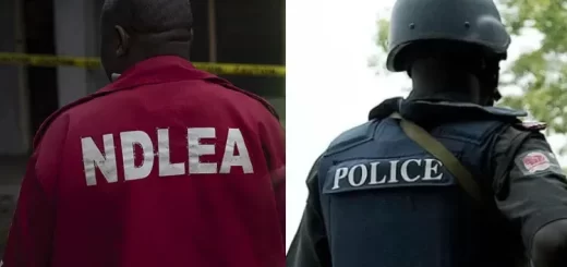 Police, NDLEA under investigation over indiscriminate arrest, prison congestion