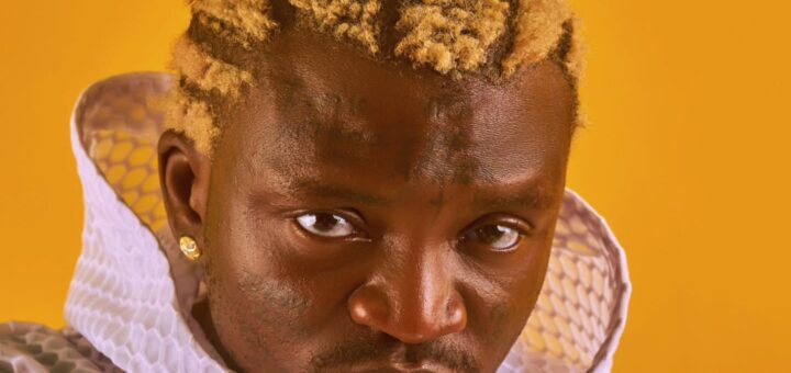 Portable says speaking good English does not guarantee being given a visa