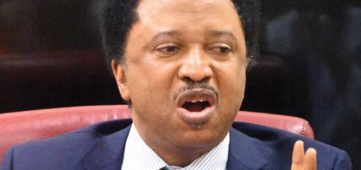 Yorubas, Northerners dominate Tinubu’s political appointments – Shehu Sani