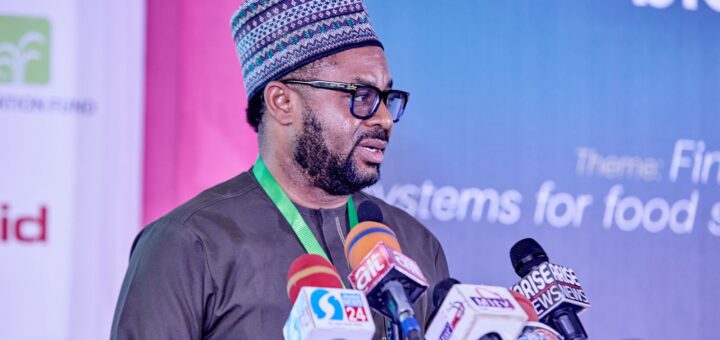 ActionAid condemns Plateau killings, demands protection of citizens