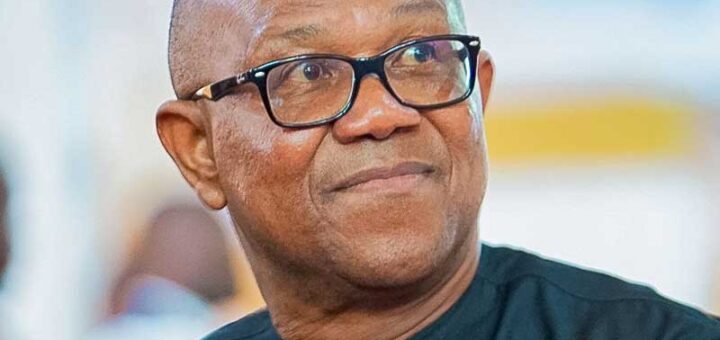 2027: Approach Peter Obi to return – Dan Ulasi to PDP leadership