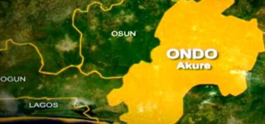 Ondo farmers accuse Tinubu’s appointee of forceful takeover of farmlands