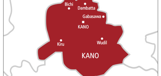 Kano Police arrest notorious drug dealer