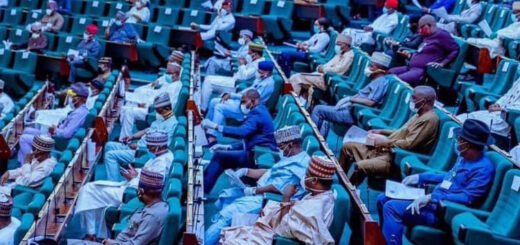 Reps rallies FG to rescue stranded Nigerians in S’Arabia