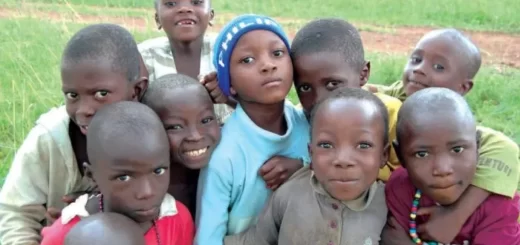Experts champion moral, character education for boy child
