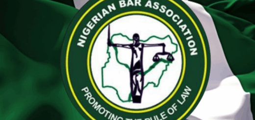 NBA urges police to provide security for Democracy Day protesters