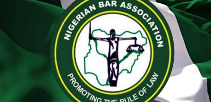 NBA urges police to provide security for Democracy Day protesters