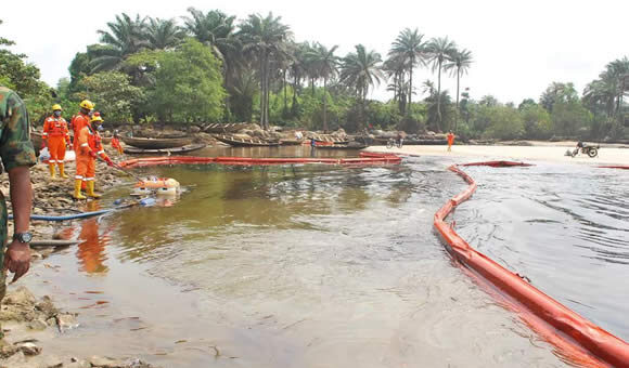 HYPREP report shows significant progress in Ogoni mangrove, shoreline cleanup