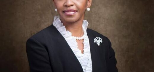Nigeria must adopt bold reforms, leverage tech for success, says NISER DG