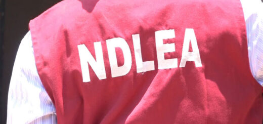NDLEA seizes 1.26 tons of drugs in Enugu