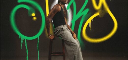 Fireboy DML – Story Ft. Take A Daytrip