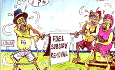 Subsidy removal, tax reforms key to diversified economy, says Tinubu