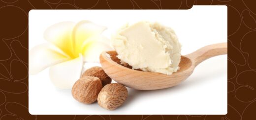 These 11 Shea Butter Mixes Will Leave Your Skin Softer, Smoother, and Glowing