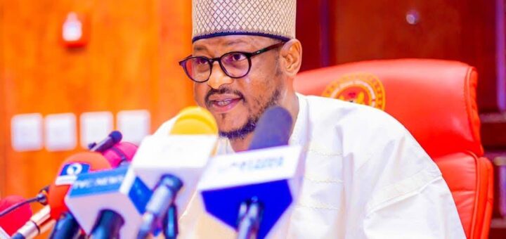 Torture allegation: Katsina Gov, Radda suspends reformatory officials