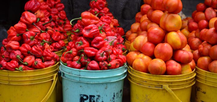 HortiNigeria fingers poor storage, seasonal harvest to fluctuating tomato cost