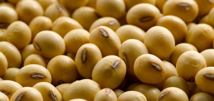 FG launches national soybean drive to tackle food shortage, boost exports