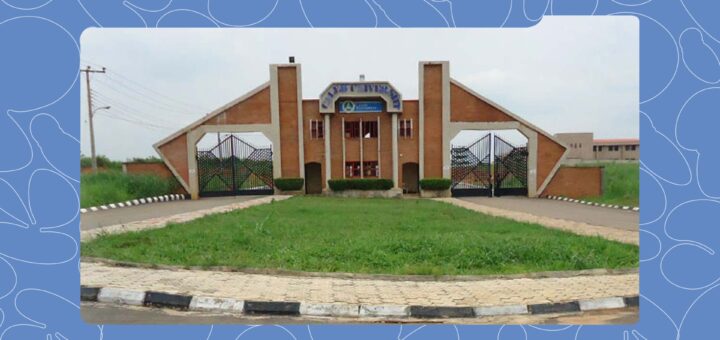 These Private Universities in Nigeria Offer the Best Education at Reasonable Fees