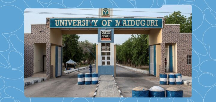 University Tuitions are High, But Not For These Federal Universities