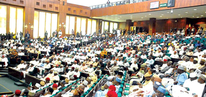 Benin group rejects proposed leadership structure in traditional rulers council bill