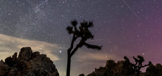 Meteor Shower August 2025: How & When to Watch the Perseid Shower