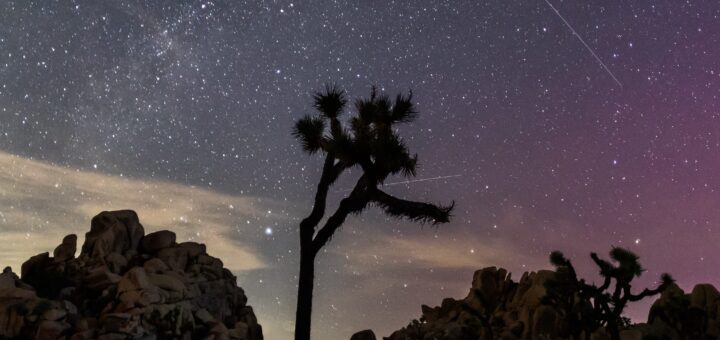 Meteor Shower August 2025: How & When to Watch the Perseid Shower