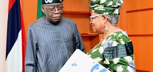 From devaluation to domination: How Tinubu’s exchange rate reforms boosted the naira as an export engine