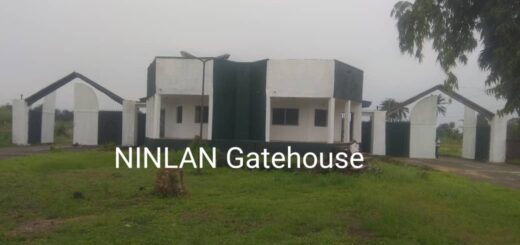 Institute launches digital tools, acculturation centres to revive Nigerian languages