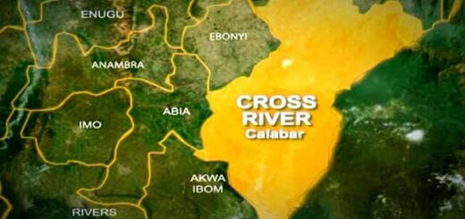 C’River boosts food security with early dry season farming