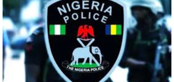 Police nab 22-year-old suspect for raping minor in Yobe