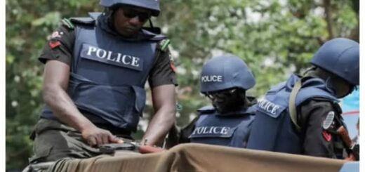 Police arrest man for sexual assault of 11-year-old girl in Yobe