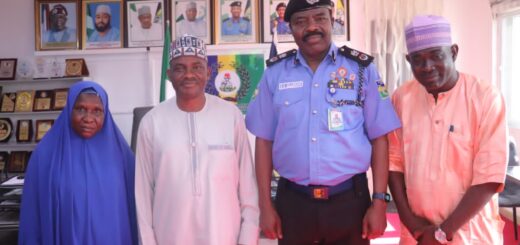 Mineral resources abound in Niger State but poorly harnesssed – Federal Mines Officer
