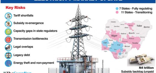 24 states backpedal on power market reforms over tariff, debt risks