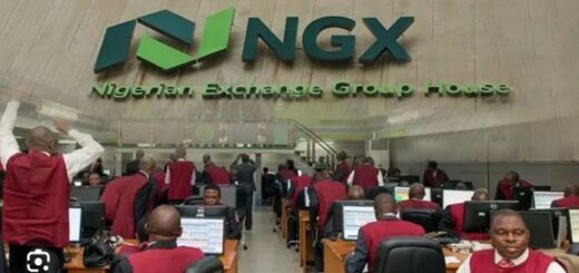 NGX group CEO highlights market resilience in dialogue on tax reforms