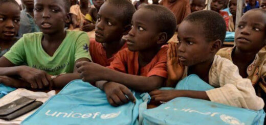 Out-of-school children: Gombe flags off free school registration