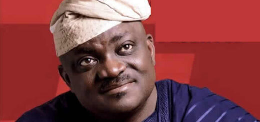 State governments are obstacles to grassroots’ development – Federal lawmaker Oke