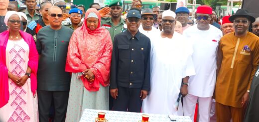 FCT Minister flags off solar-powered streetlight project in Abuja
