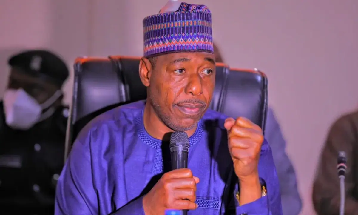 Gov Zulum seeks sustained military action in Kirawa community reclaimed from insurgents 