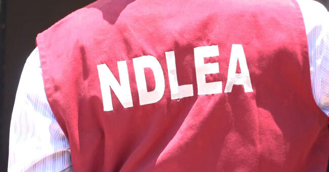 Navy hands over 840kg of seized cannabis to NDLEA