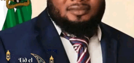 Ebonyi: Onicha LG Chairman accused of high handedness, abuse of power by ward councillors