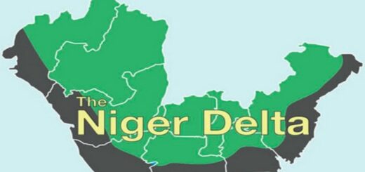 Nigerian Navy seizes 11,000 litres of stolen crude in Niger Delta