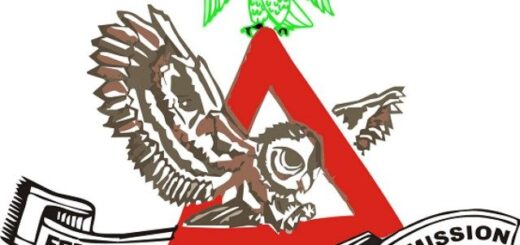 FRSC launches 2025 ember months campaign in Niger