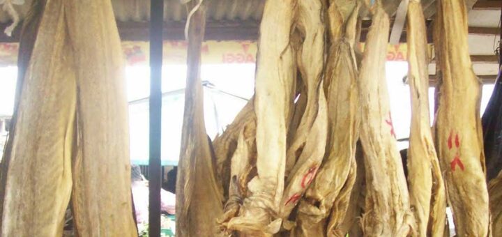 Council tasks authorities on hazardous stockfish preservation methods