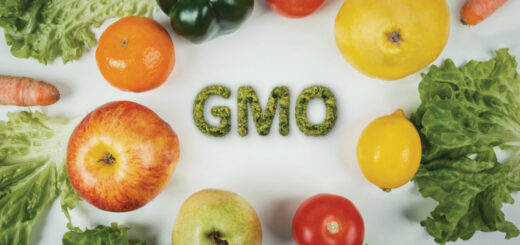 Farmers, civil society renew calls for GMOs ban
