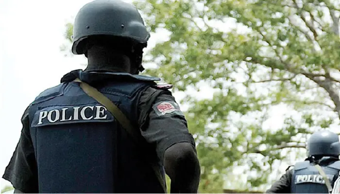 Police arrest 13 over mob killing of 23-year-old in Edo